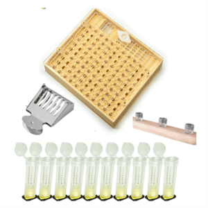 Kit Completo de Criação de Rainhas sem Transferência